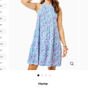 Lilly Pulitzer XL Jerrica Dress Brand New w/ Tags!